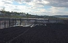 Село Дунаево Сретенского района: Сомы плавают там, где еще сегодня утром была дорога