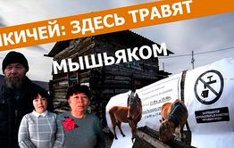 Вечорка ТВ: ЧИКИЧЕЙ: ЗДЕСЬ ТРАВЯТ МЫШЬЯКОМ