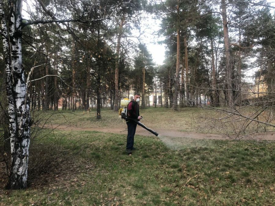 Парки, скверы и площади в Чите обработают от клещей