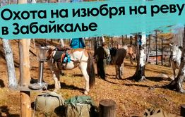 Вечорка ТВ: Охота на изюбря на реву в Забайкалье