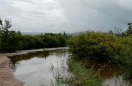 Уровень рек Чита и Ингода вновь поднялся