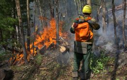 Лесные пожары потушили в нескольких районах Забайкалья