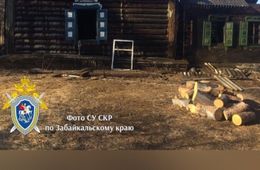 Двухлетняя девочка с мамой, и ее дедушка погибли в пожаре в Новой - Следком