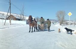 Шелопугинский район, с. Мироново, грузовое се...