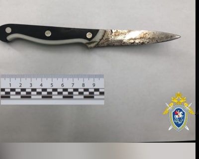 В Забайкалье подросток признан виновным в убийстве 14-летней девушки