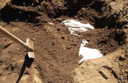 Убивший мужа любовницы и расчленивший его тело забайкалец получил 12,5 лет колонии 