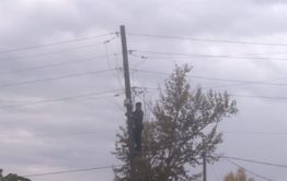 «Вечорка ЦУР»: Соседи незаконно подключились к электричеству — Шерловая Гора