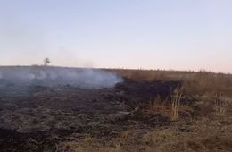 В забайкальской степи почти год горят бараньи какашки