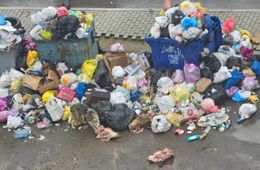 Коровьи головы и собаки - ужас в микрорайоне Хорошем