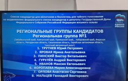 «Единая Россия» сливает генерала Гурулева с выборов в Госдуму?