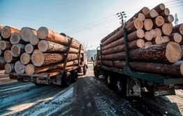 212 млн рублей взысканы с забайкальца за контрабанду леса 