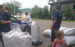 ​В Забайкалье всерьез взялись за охрану сапожниковии