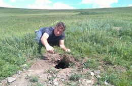 День сурка: Предстоящая зима в Забайкалье будет лютой (фото, видео ловушка)