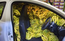 Мартышкам на радость: в Забайкалье дешевеют бананы