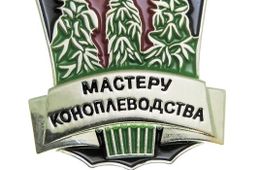 В Забайкалье начинают активно развивать коноплеводство