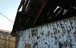 «Собачья» жизнь Татьяны Ивановны (Не судите, да не будете судимы)