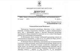  Долг без платежа красен?