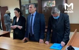 Лидер ЛДПР начал готовить амнистию для Ефремова