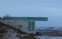 Пьяный водитель, сбивший насмерть 10-летнюю девочку в Шилке, заключен под стражу