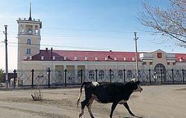 В Забайкальске построят терминал для перегрузки мяса
