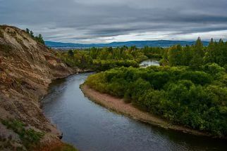 Река в Алексадровке окрасилась в ярко-желтый цвет
