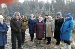 Жители Атамановки подписывают петицию против вырубки леса