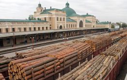 Контрабандисты леса осуждены в Забайкалье 