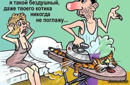 В Могоче разыскивают маньяка, убившего восемь котов и кошек