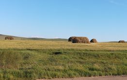 Дальневосточный гектар. Кому он нужен в Забайкалье?