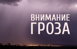 Дожди и грозы ожидаются в Чите 30 июня