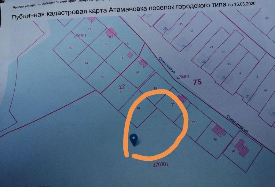 Атамановке опять угрожают лесорубы