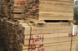 Забайкалец вывез за границу лесоматериалы ​почти на 40 млн рублей. Его ждет колония и штраф