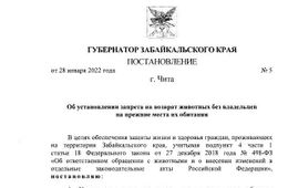 Осипов запретил возвращать отловленных собак на улицы Забайкалья