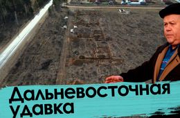 Дальневосточная удавка: Лес вырубят, гектары продадут, Путин не узнает.