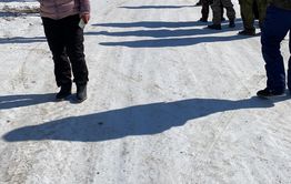 Жители Ивановки перегородили проезд к местному карьеру, в котором власти решили сжигать заражённых чумой свиней