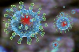В Забайкалье впервые за семь недель зарегистрировано снижение заболеваемости COVID-19