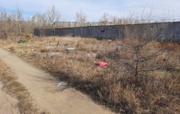 «Водоканал» сносит кладбище домашних животных в Чите	