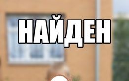 Мальчик, потерявшийся по дороге в школу в Чите, нашелся
