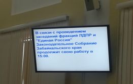 Единороссы намерены протащить бюджет с помощью ЛДПР
