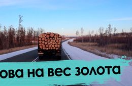 Почему в Забайкалье люди топят печки навозом?
