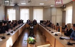 Крупный отлов бродячих собак пройдет в Чите 