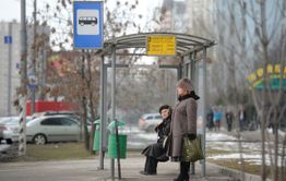 Хатико ждал, и Смоленка подождет