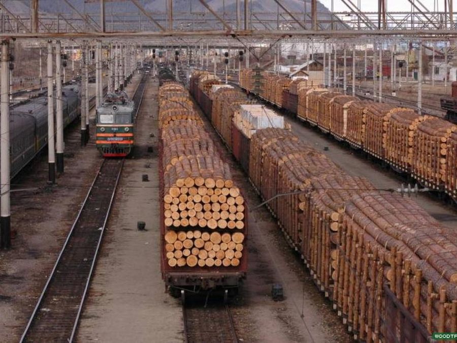 В Забайкалье задержана группа контрабандистов леса