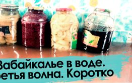 Наводнение-2021. Третья волна. Сюжет без слов.
