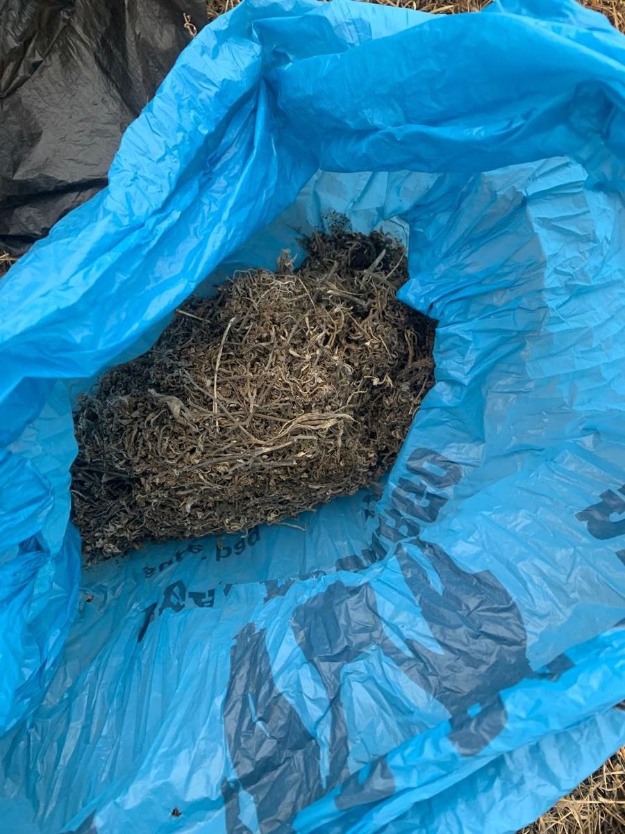 Забайкалец задержан с двумя килограммами марихуаны