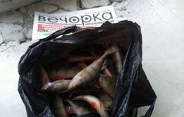 ​Закон о любительском рыболовстве вступил в силу в Новом году