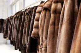 В Забайкалье мужчина украл 20 мутоновых шуб с выставки