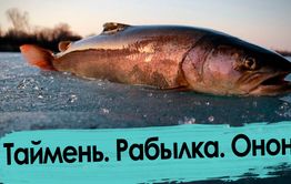 Рыбалка на Ононе: последний лед