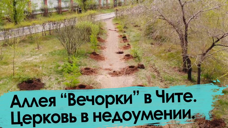 Журналисты подарили Чите аллею из 132 деревьев