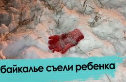 Собаки загрызли 7-летнюю девочку в селе под Читой